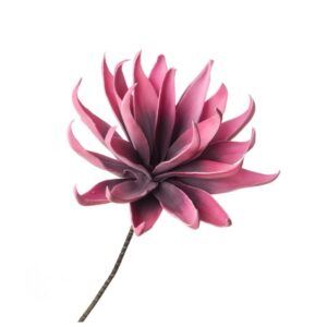 Dalia