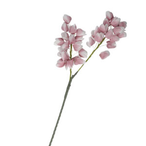 Chichingi Rosa