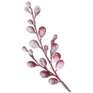 Nespolo Innevato Rosso