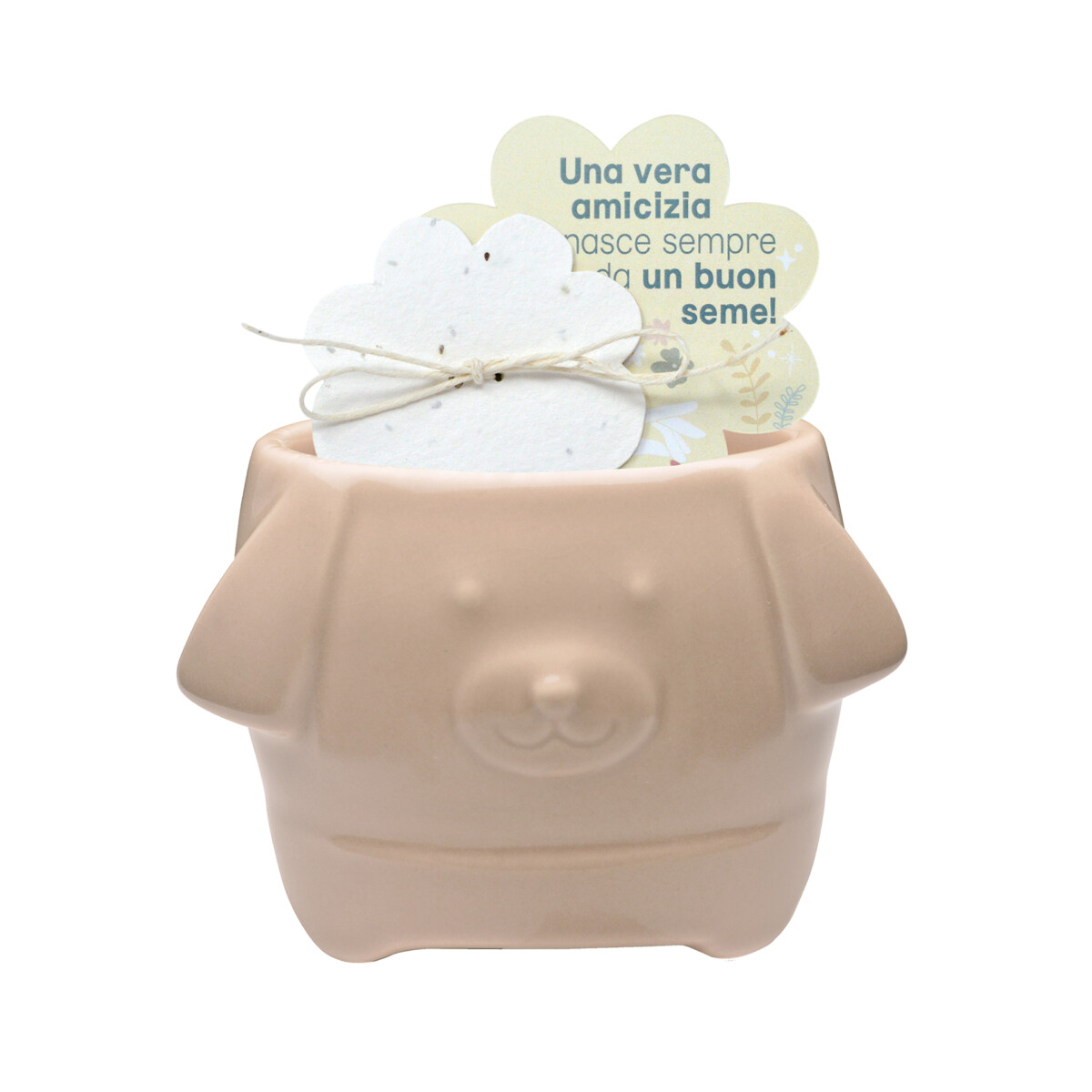 Cagnolino Cache Pot SeminiAmo